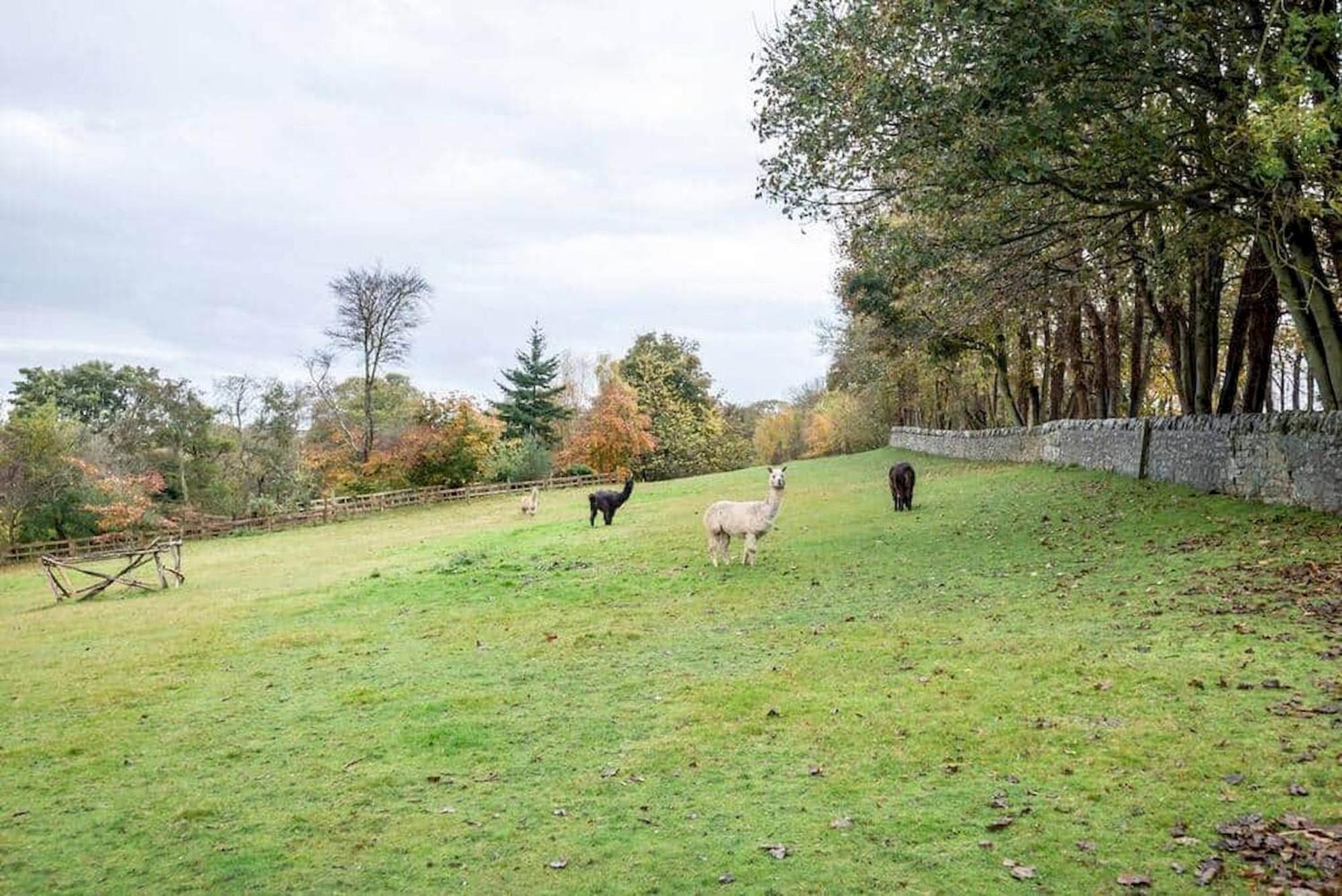 Park View Cottages - The Granary Boarhills Eksteriør bilde